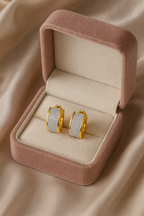 Golden FrostGlam Earrings | Gold-Plated Stainless Steel–RY88123106