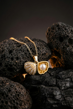 Sparkling Seashell Locket Necklace | Gold-Plated Stainless Steel – KZ8812308
