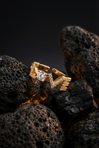 Love Letter Ring | Gold-Plated Brass Adjustable Ring–SCB8812383
