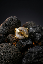 Royal Knot Ring | Adjustable Gold-Plated Stainless Steel–KZ8812392